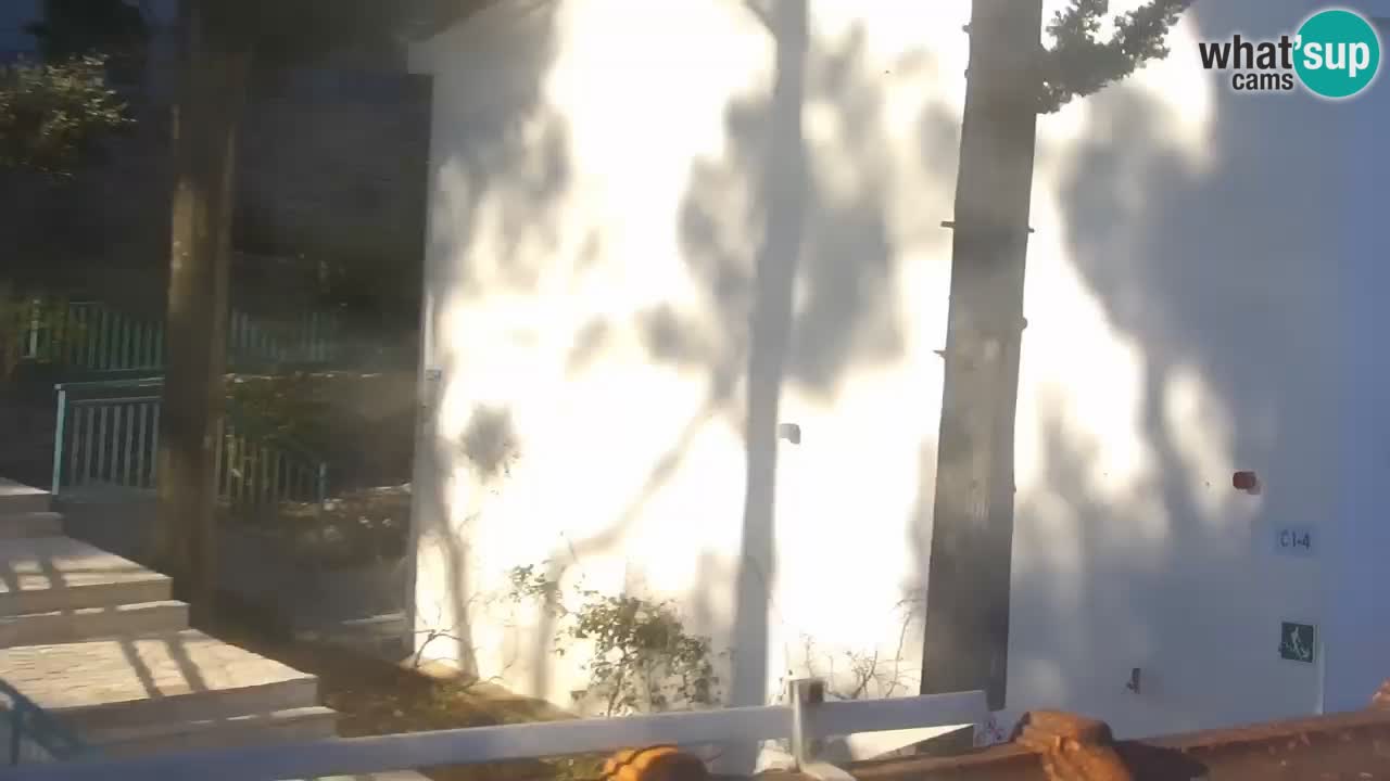 Lumbarda resort Web Kamera Korčula