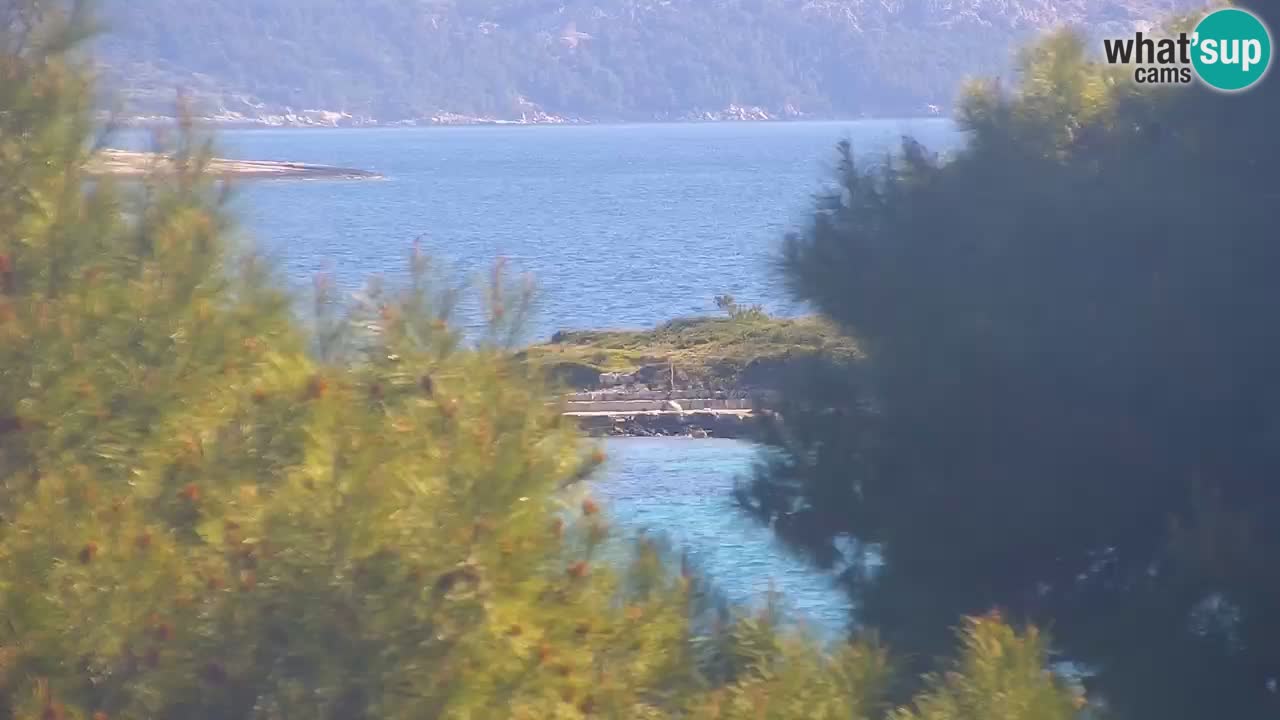 Lumbarda Resort live cam Curzola