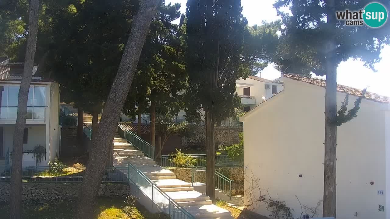 Lumbarda resort Web Kamera Korčula