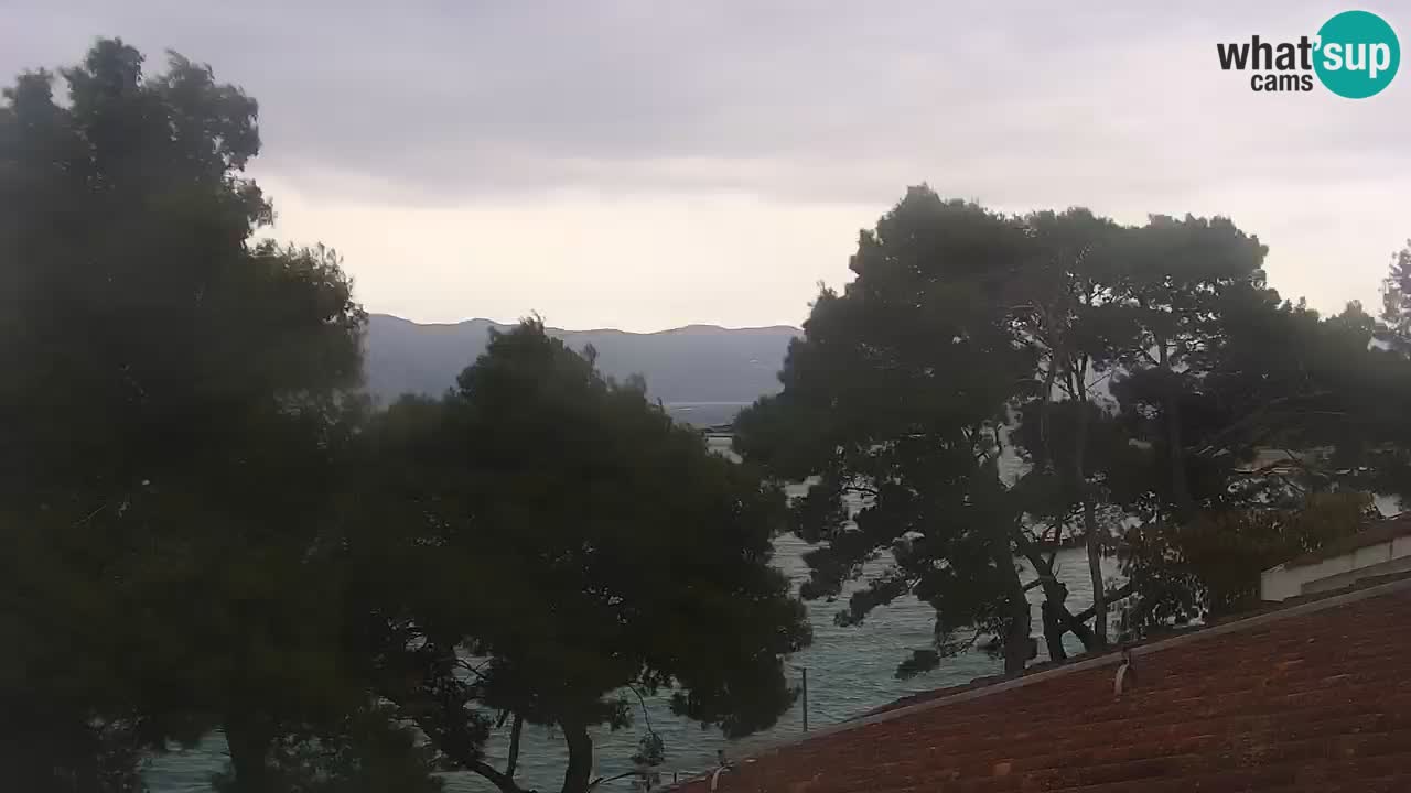 Lumbarda resort Web Kamera Korčula