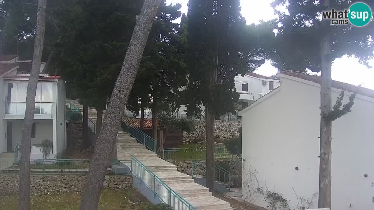 Lumbarda resort Web Kamera Korčula