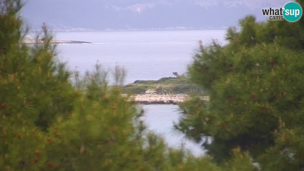 Lumbarda resort – livecam Korčula