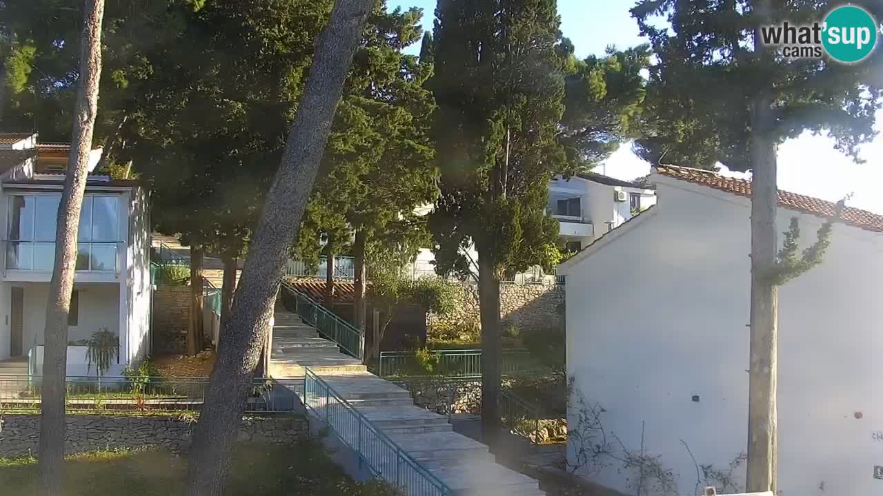 Lumbarda Resort camera en vivo Korčula