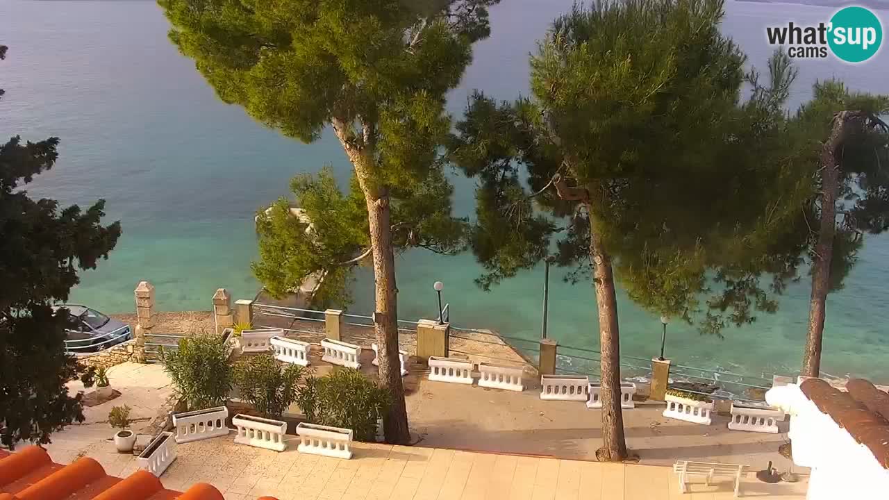 Lumbarda resort – livecam Korčula