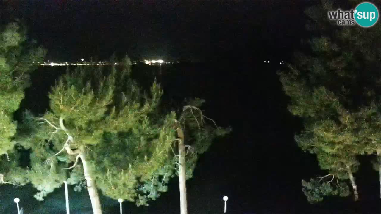 Lumbarda resort Web Kamera Korčula