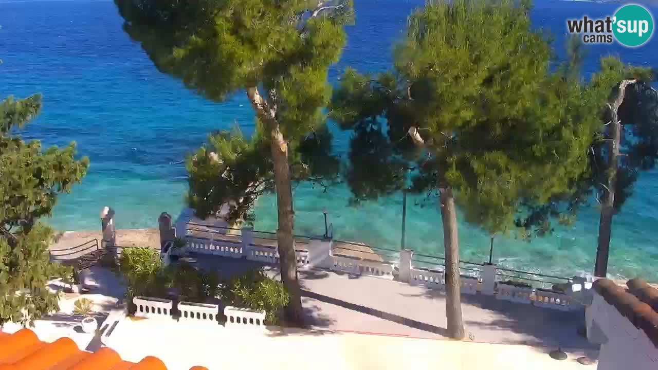 Lumbarda resort Webcam Korčula