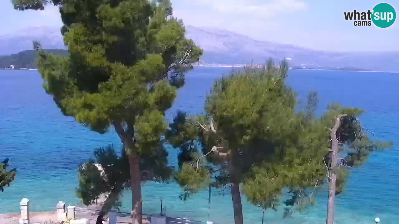 Lumbarda Resort camera en vivo Korčula