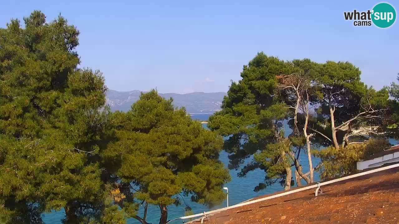 Lumbarda Resort webcam Kurzel