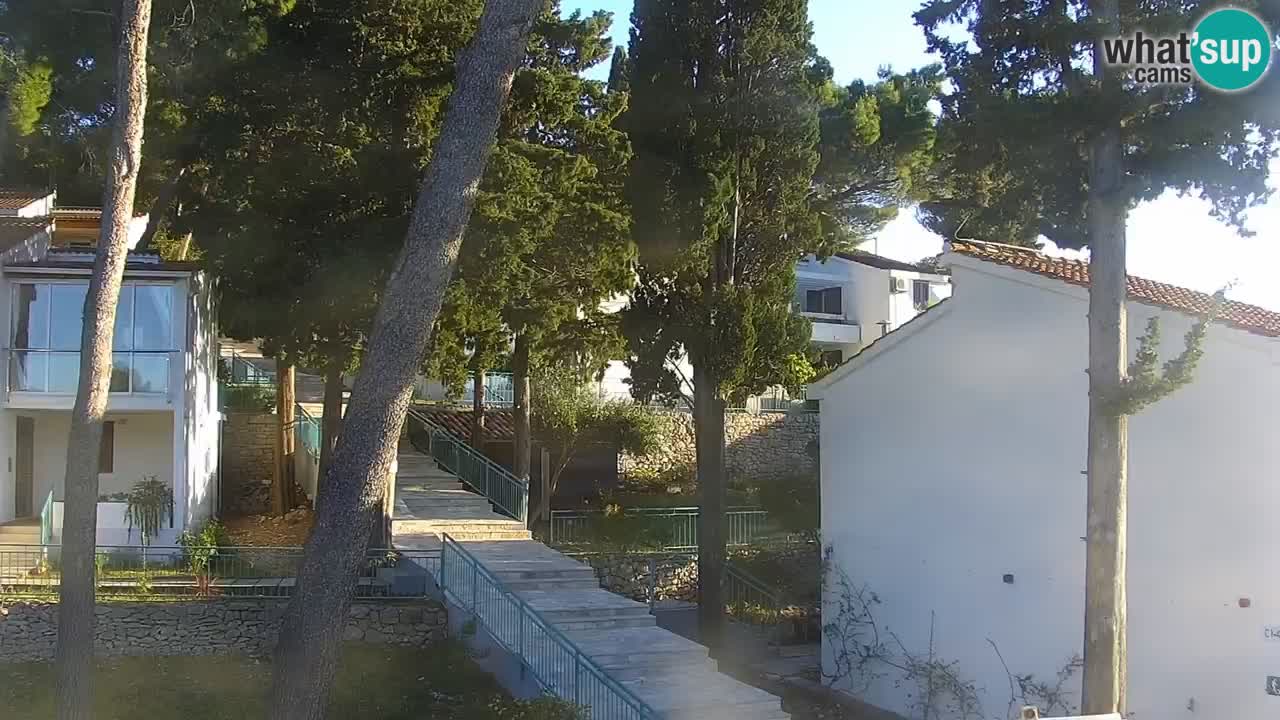 Lumbarda resort Web Kamera Korčula