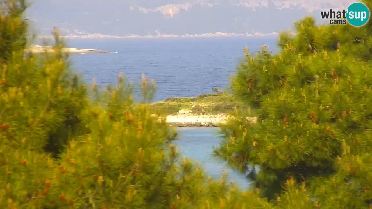 Lumbarda resort Webcam Korčula
