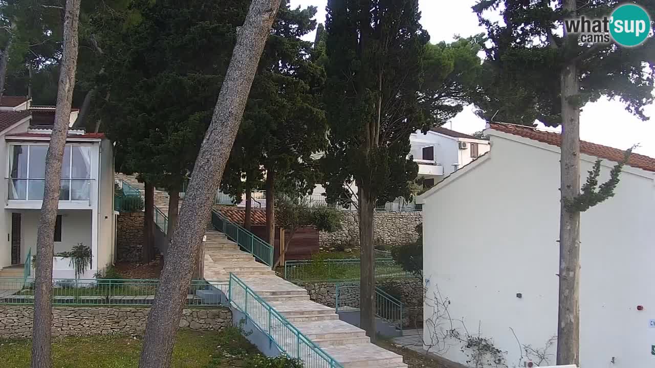 Lumbarda Resort live cam Curzola