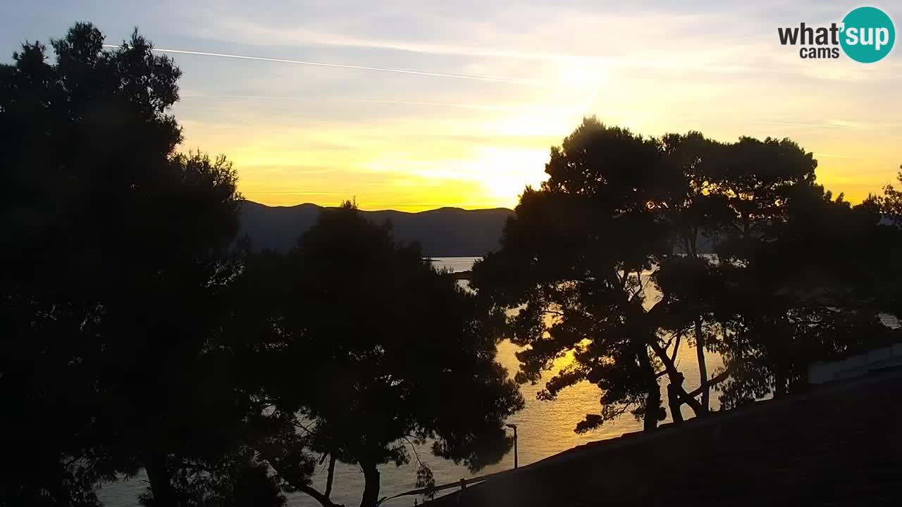 Lumbarda resort Spletna kamera Korčula