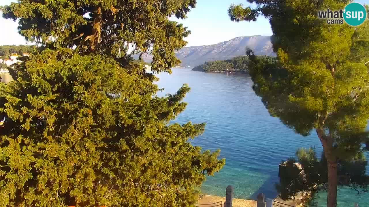 Lumbarda resort Web Kamera Korčula
