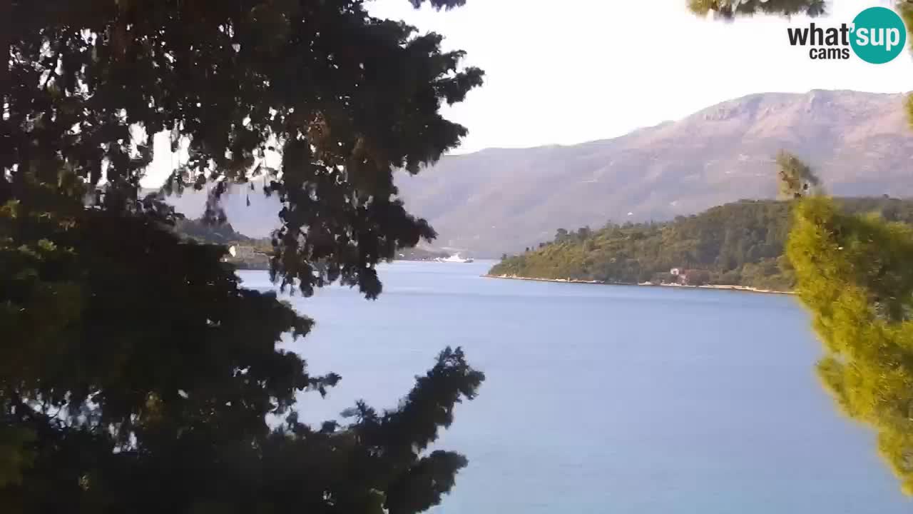 Lumbarda resort Webcam Korčula