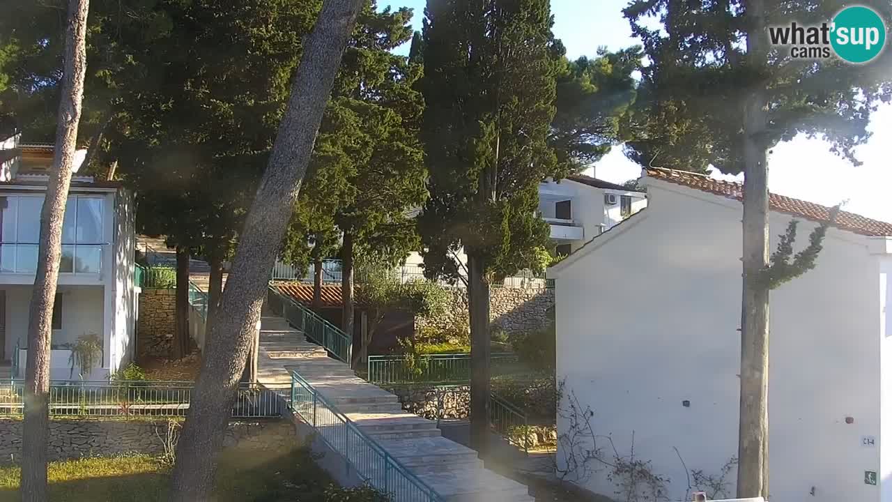 Lumbarda resort Webcam Korčula