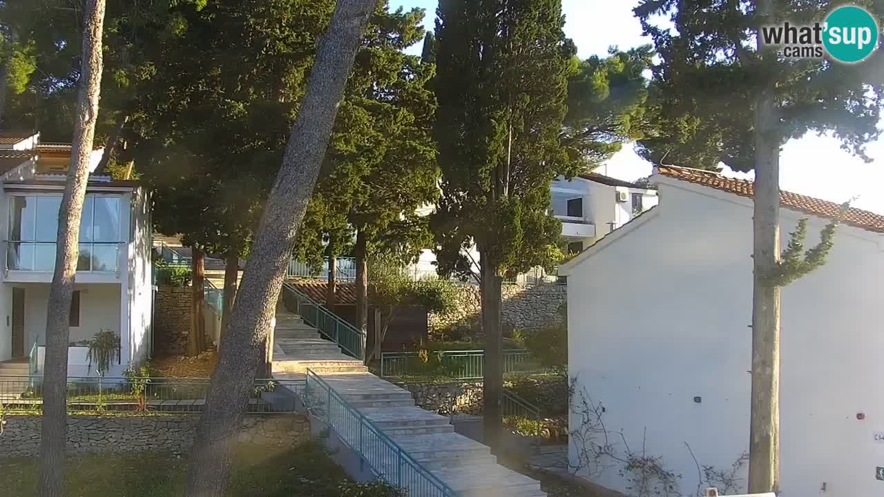 Lumbarda resort Webcam Korčula
