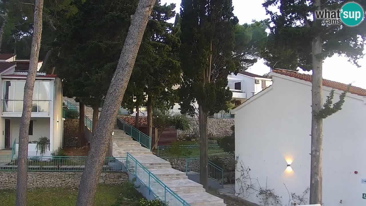 Lumbarda Resort camera en vivo Korčula