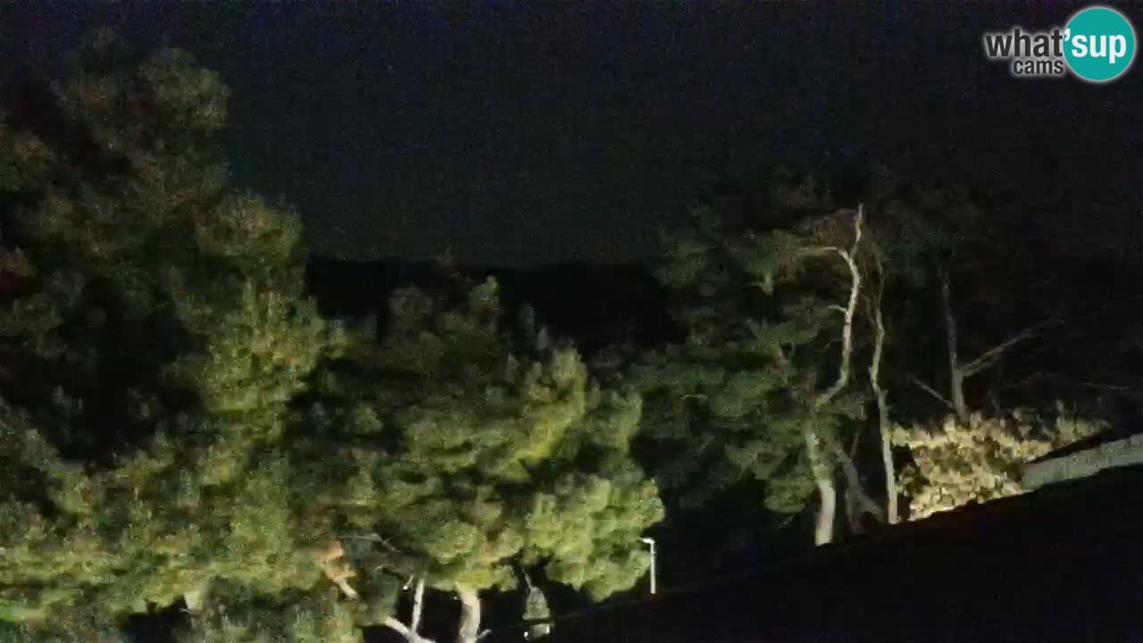 Lumbarda Resort webcam Kurzel