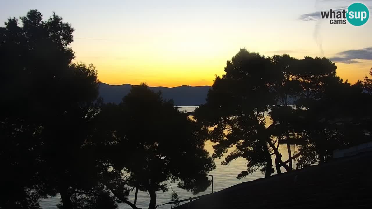 Lumbarda resort Spletna kamera Korčula