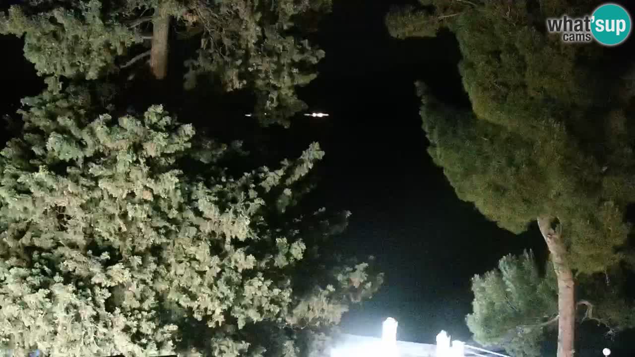 Lumbarda resort Webcam Korčula