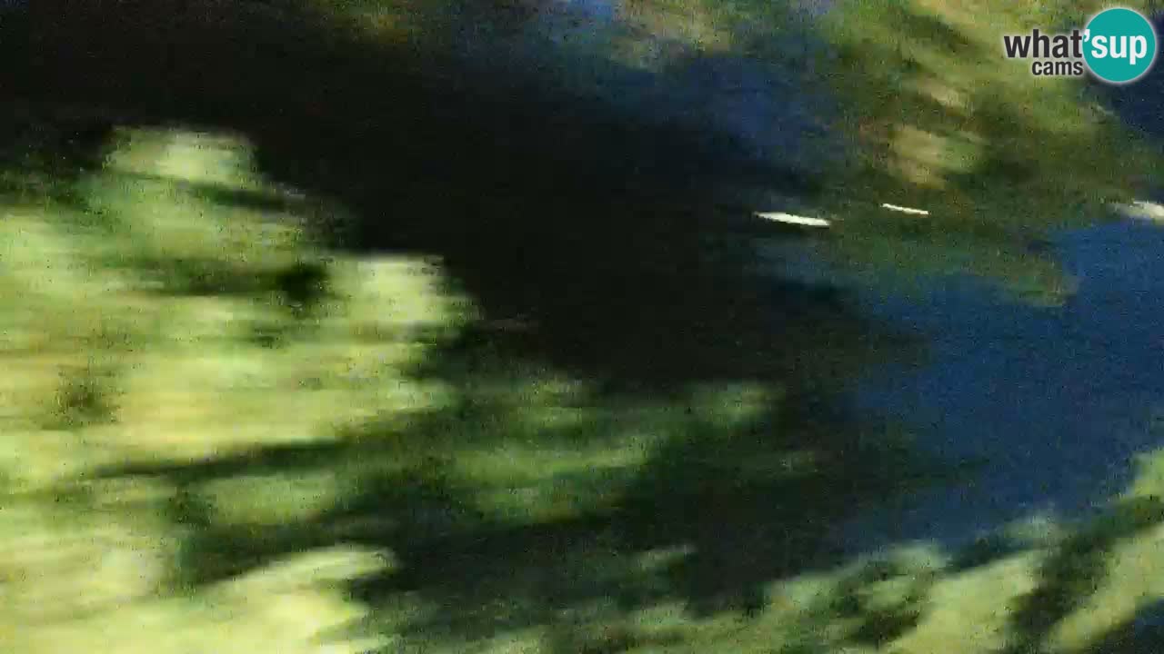 Lumbarda resort Webcam Korčula