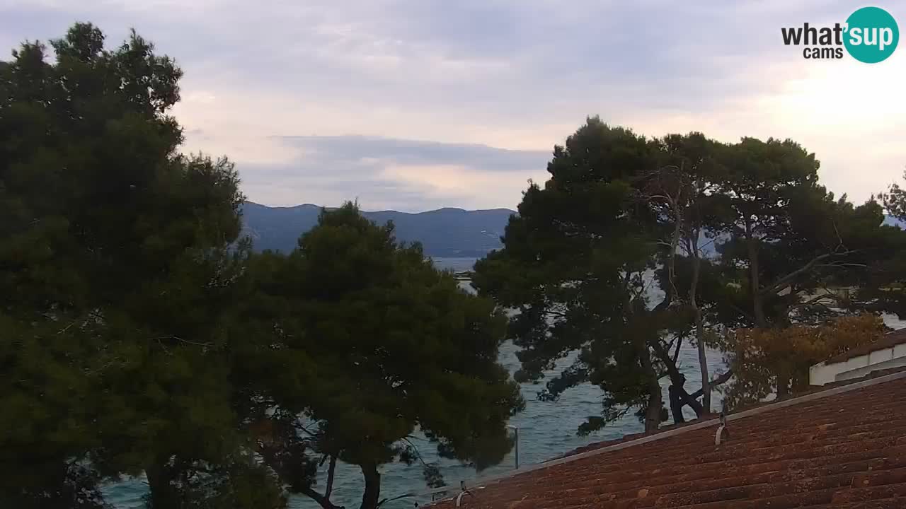 Lumbarda resort – livecam Korčula