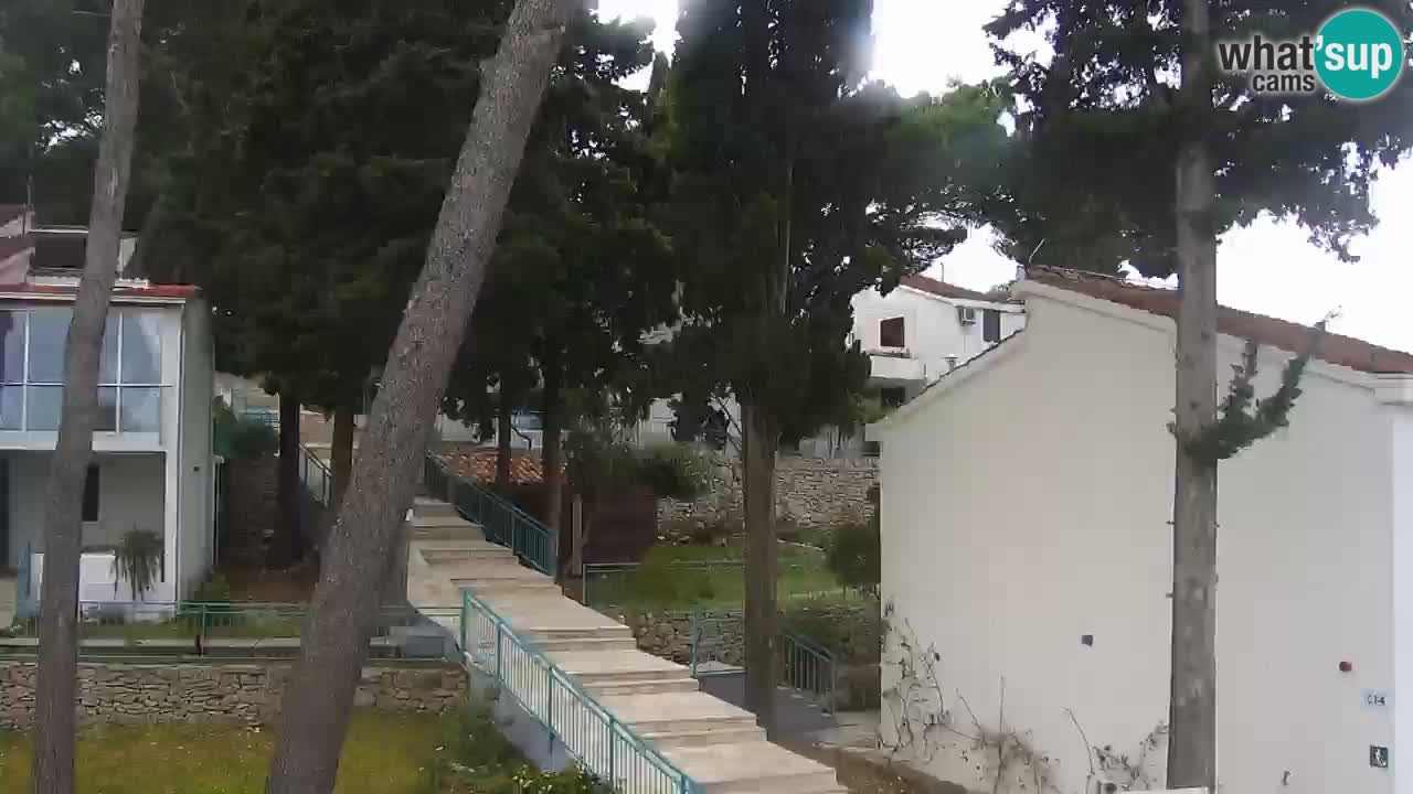 Lumbarda resort – livecam Korčula