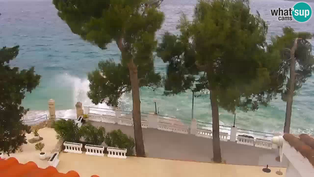 Lumbarda resort Webcam Korčula