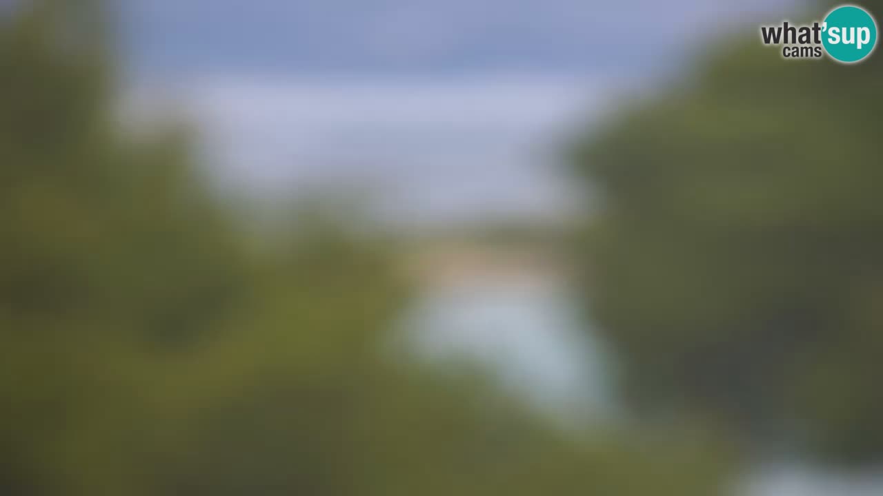 Lumbarda resort Webcam Korčula