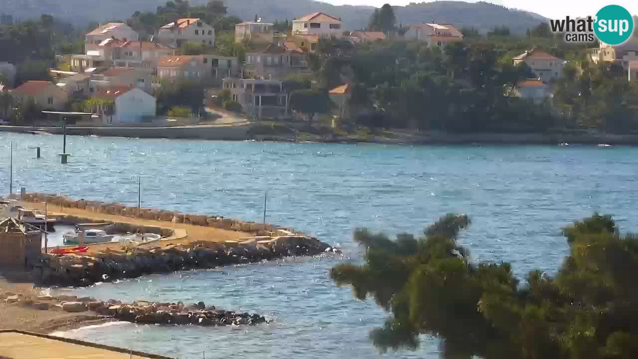 Lumbarda Resort camera en vivo Korčula