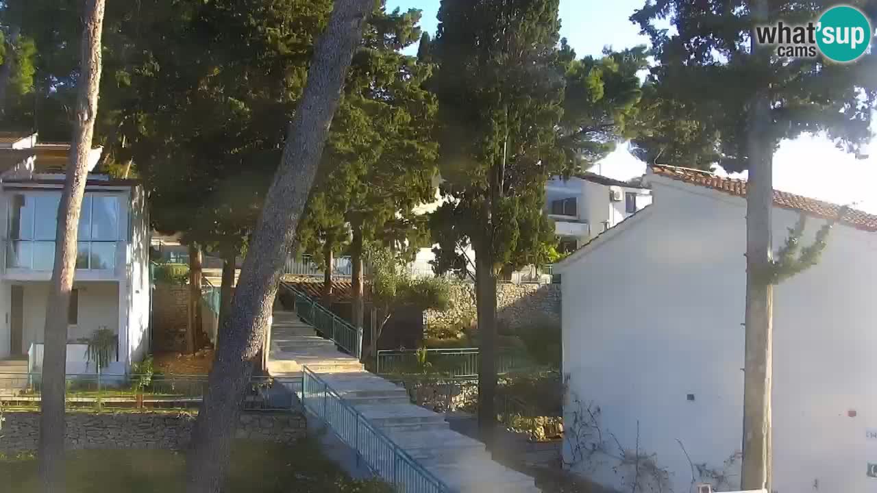Lumbarda Resort camera en vivo Korčula