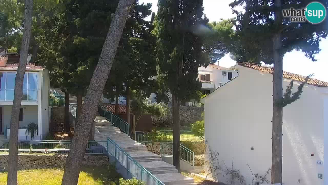 Lumbarda resort – livecam Korčula