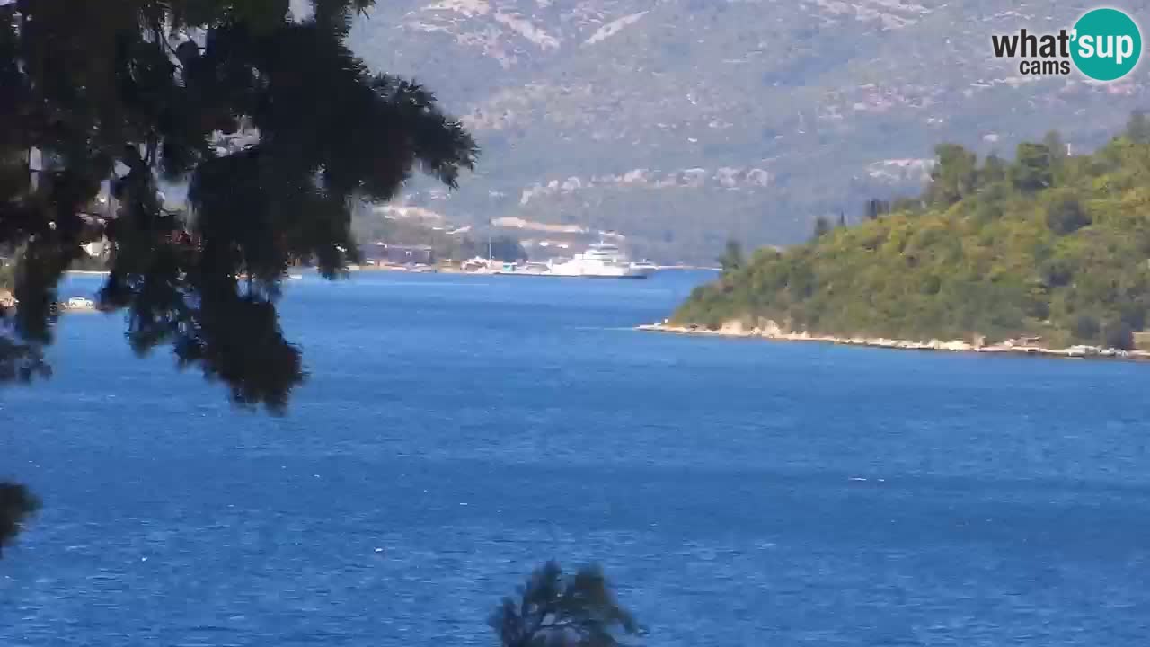 Lumbarda resort – livecam Korčula