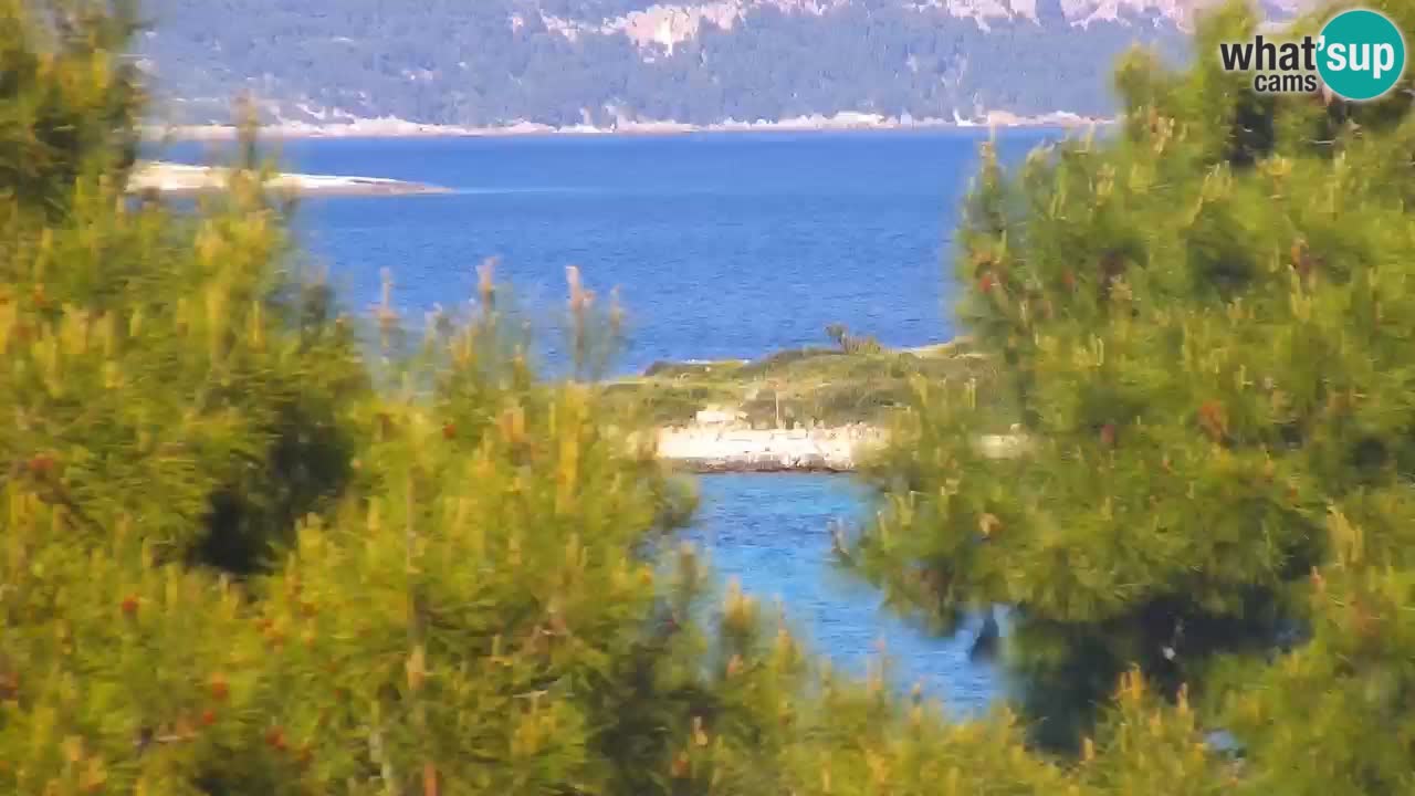 Lumbarda resort – livecam Korčula