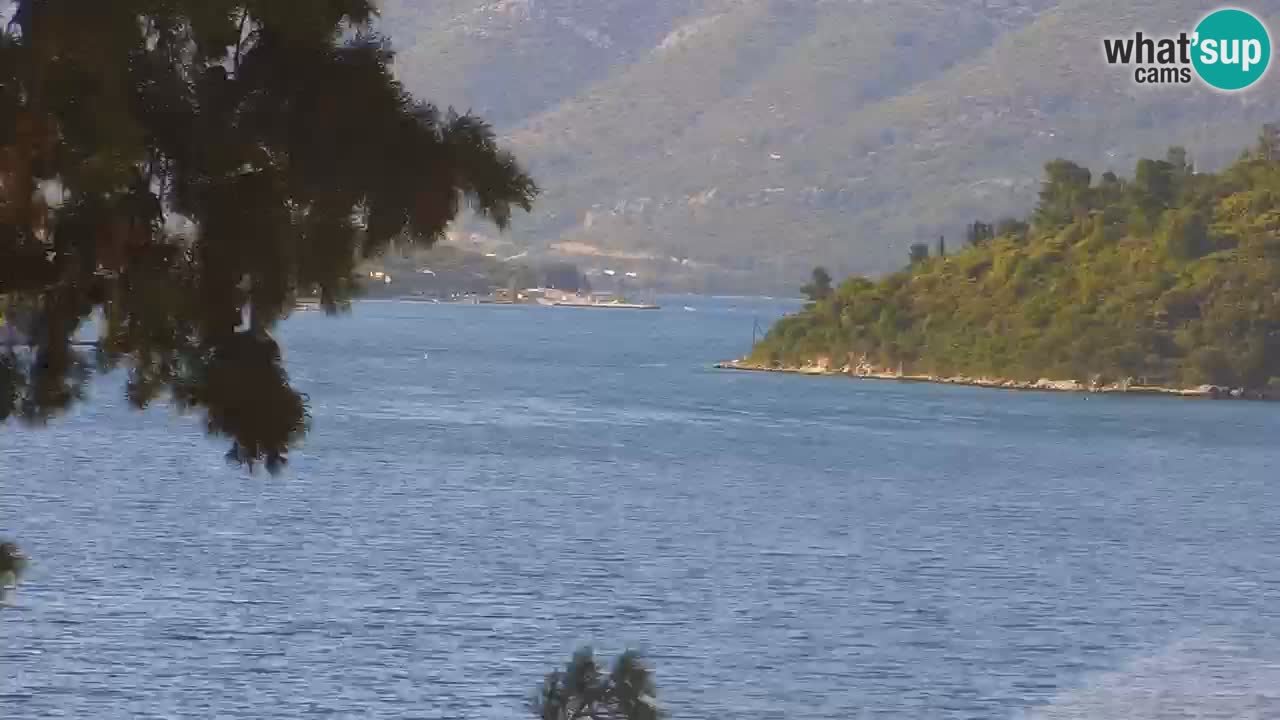 Lumbarda resort Web Kamera Korčula