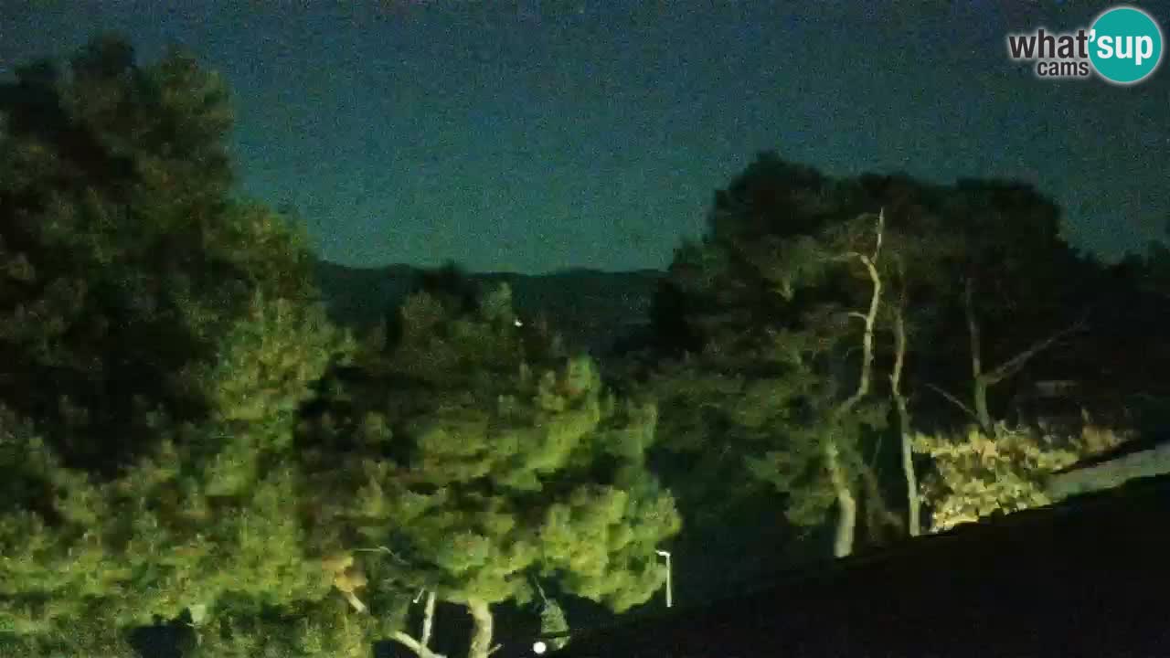 Lumbarda Resort webcam Kurzel