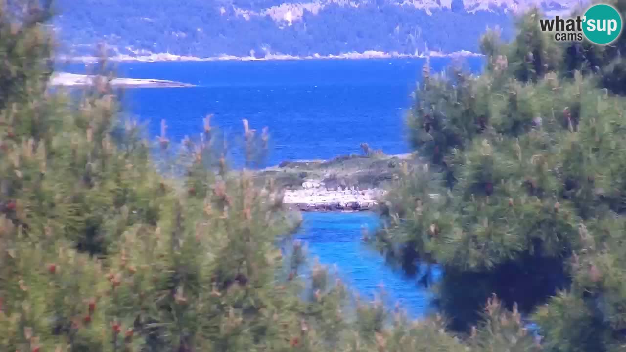 Lumbarda Resort camera en vivo Korčula