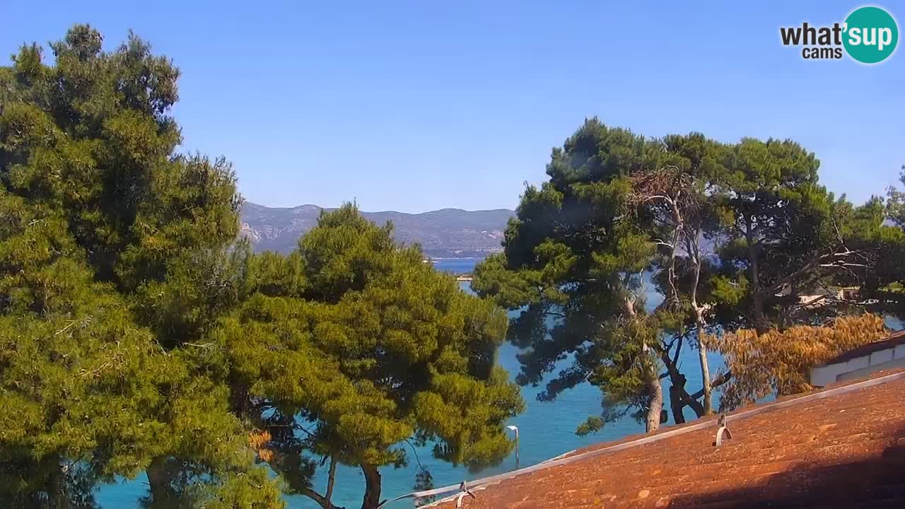 Lumbarda resort – livecam Korčula