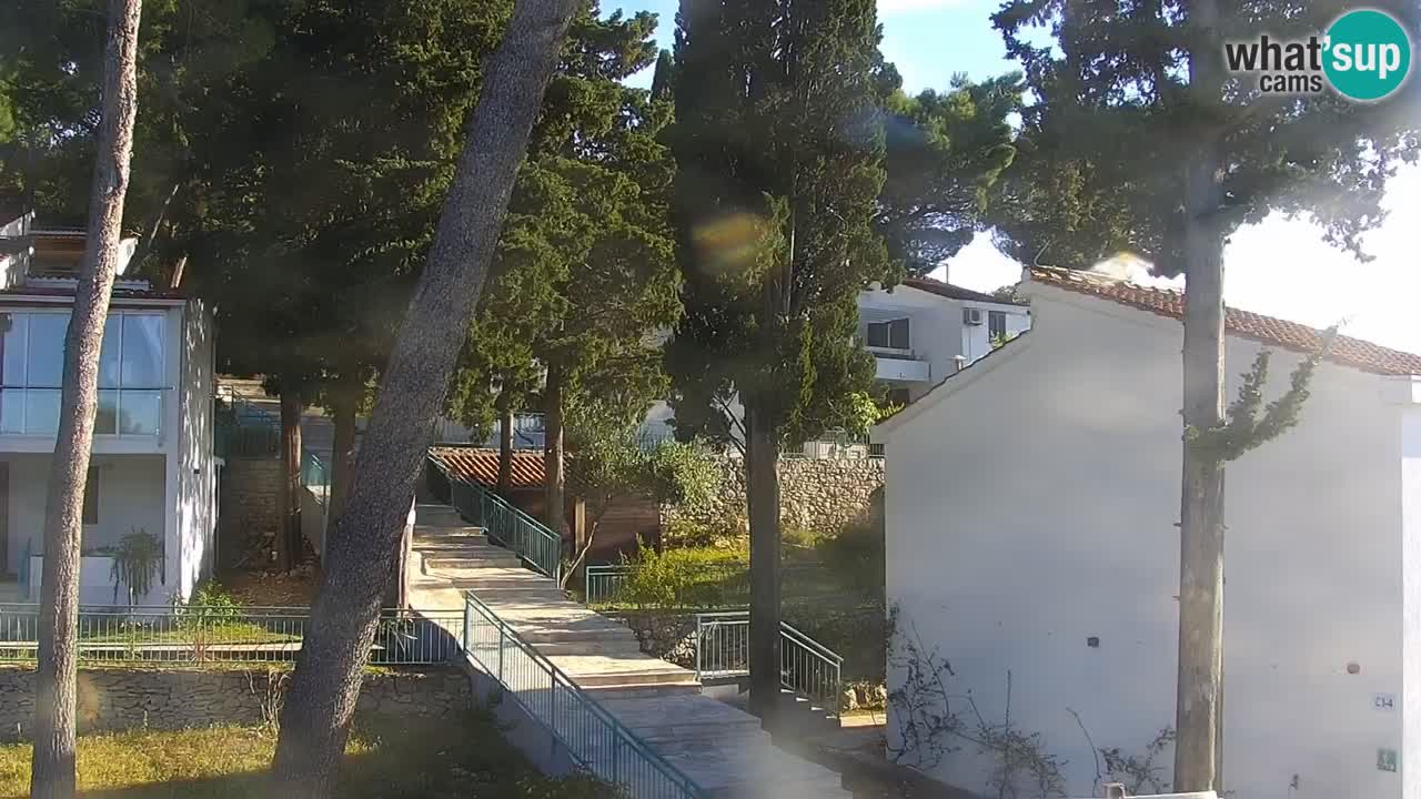 Lumbarda resort Webcam Korčula