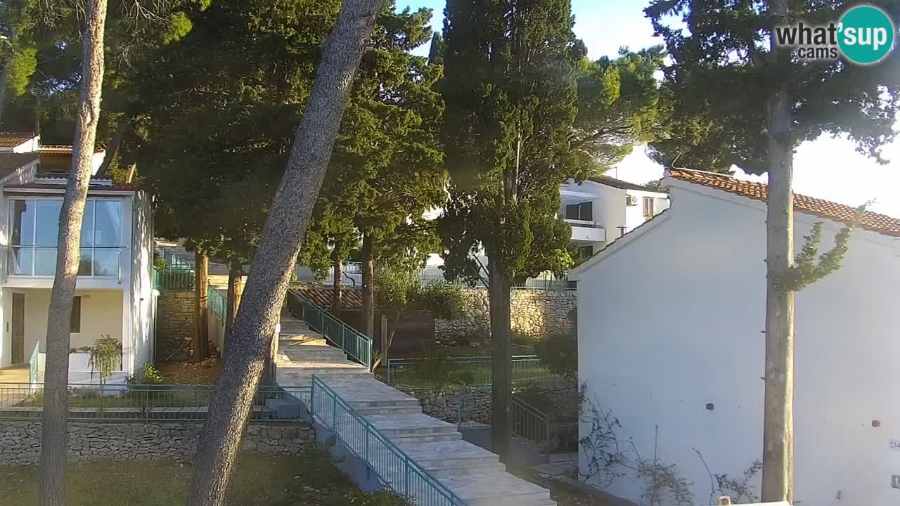 Lumbarda resort – livecam Korčula