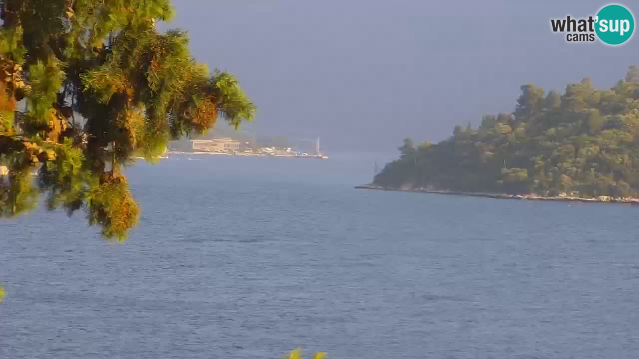 Lumbarda resort – livecam Korčula