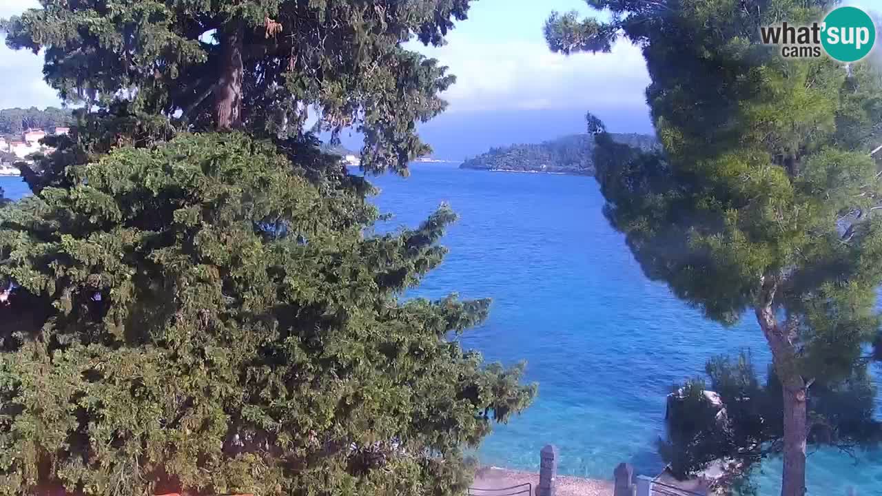Lumbarda resort – livecam Korčula