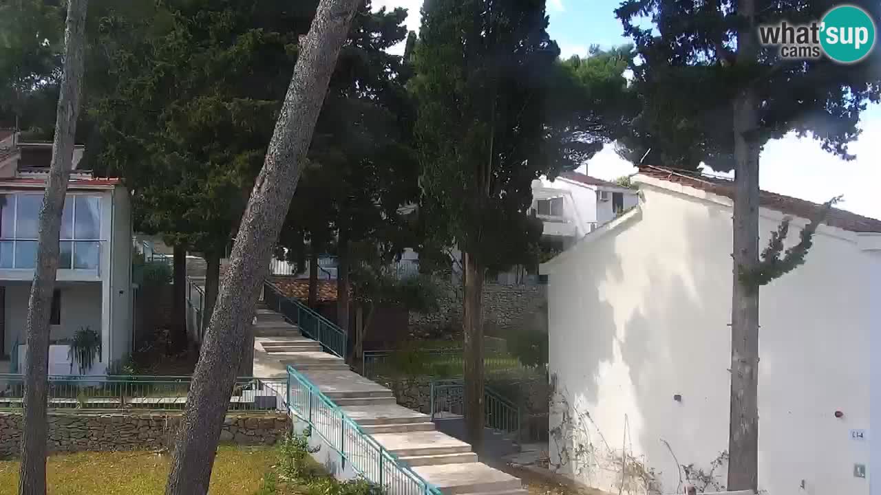 Lumbarda resort Webcam Korčula