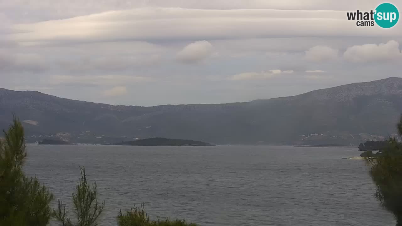Lumbarda resort Webcam Korčula