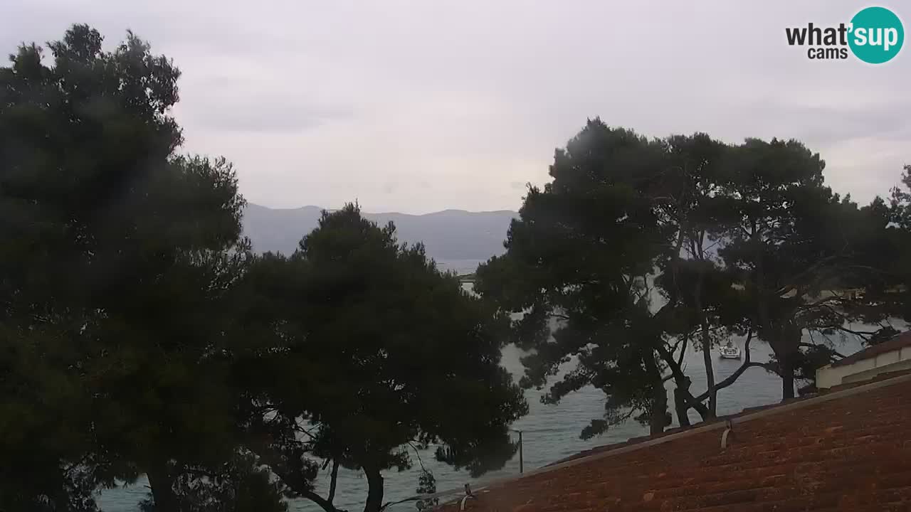 Lumbarda resort – livecam Korčula