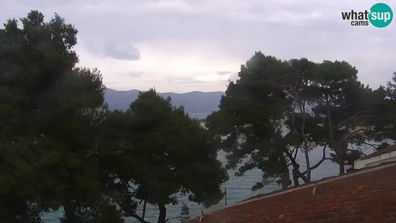 Lumbarda Resort camera en vivo Korčula