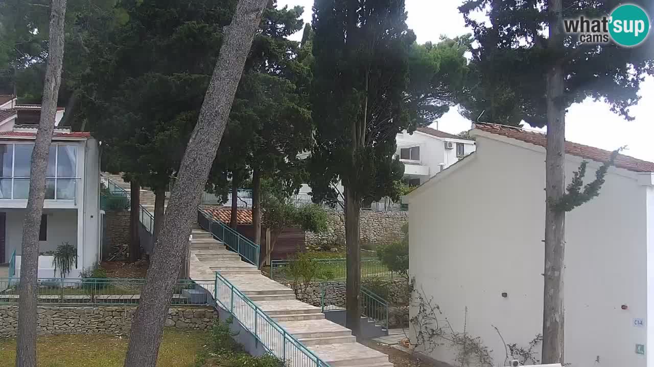Lumbarda Resort camera en vivo Korčula