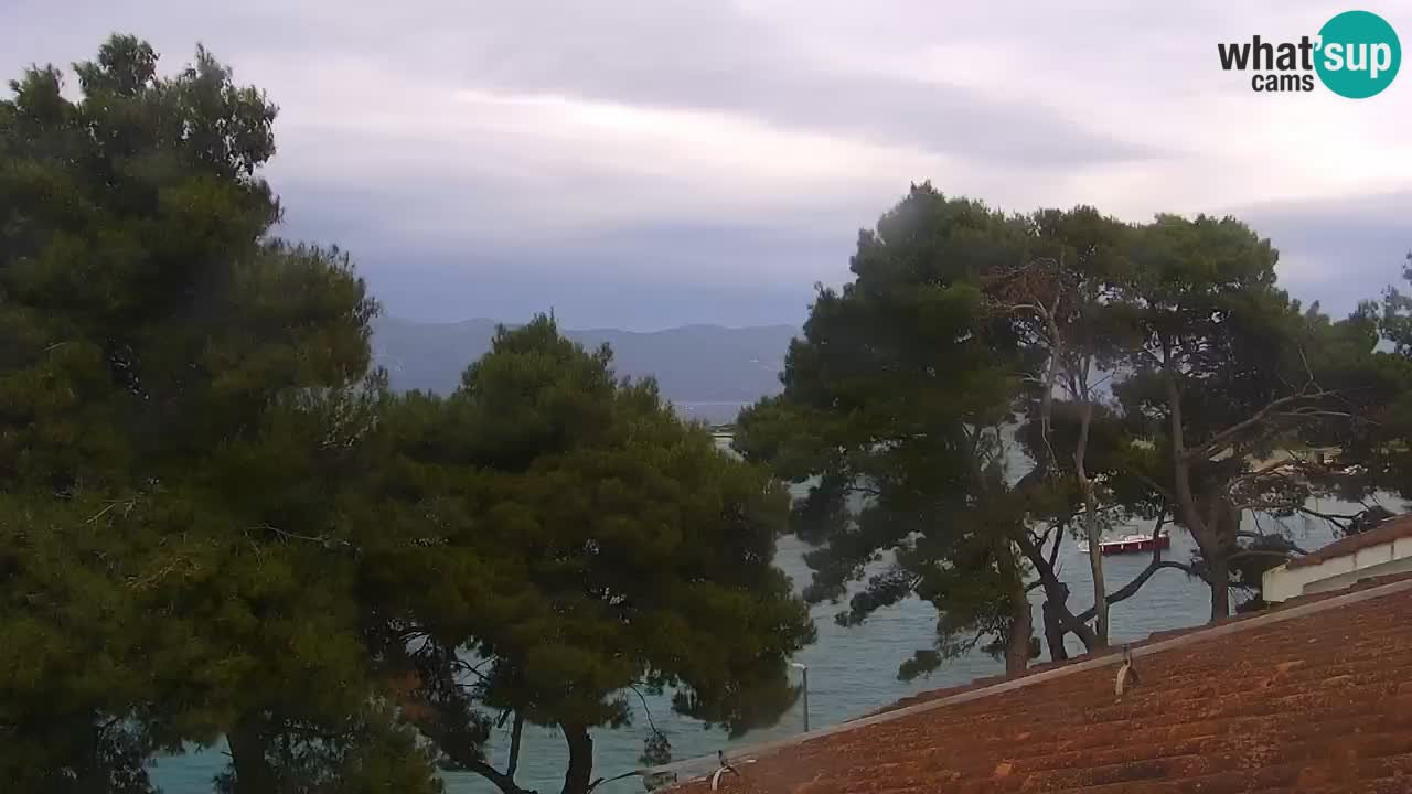 Lumbarda resort Webcam Korčula