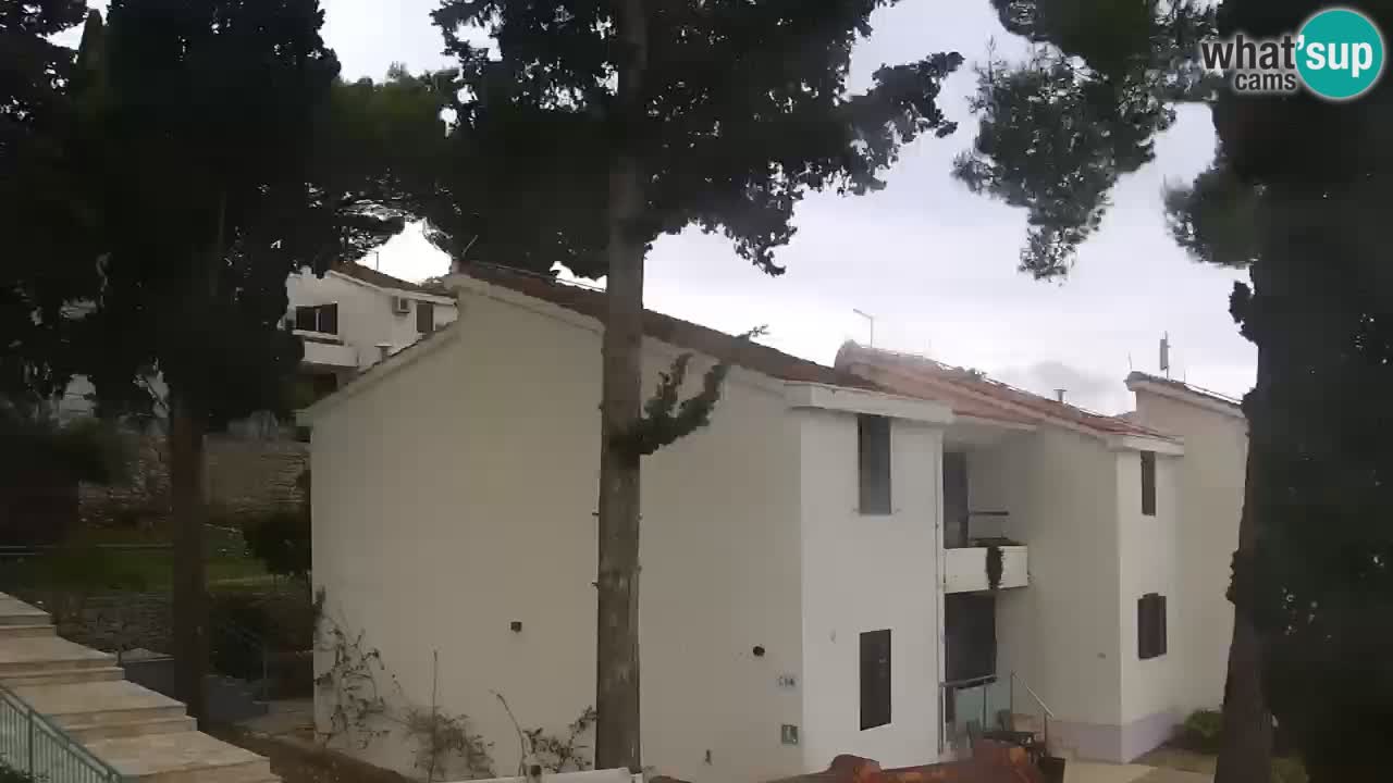 Lumbarda resort Webcam Korčula
