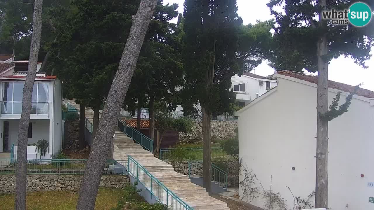 Lumbarda resort Webcam Korčula